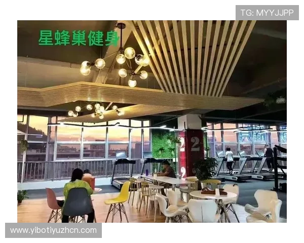 海星体育线上官网多平台同步使用体验与操作技巧分享