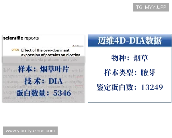 顶盛体育用户注册流程与账号安全保障措施全方位解读